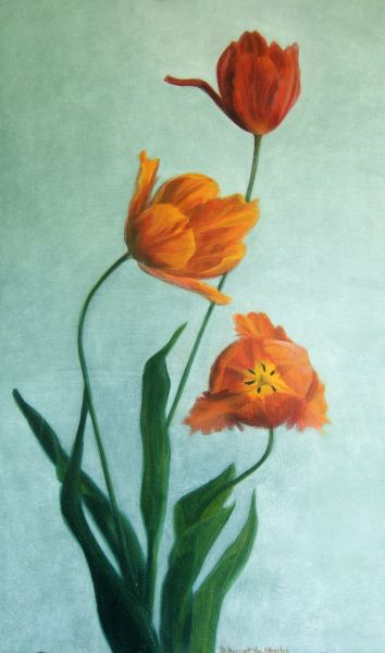 Three Sisters (Orange Tulips)