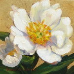 White Peony I