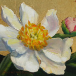 White Peony II