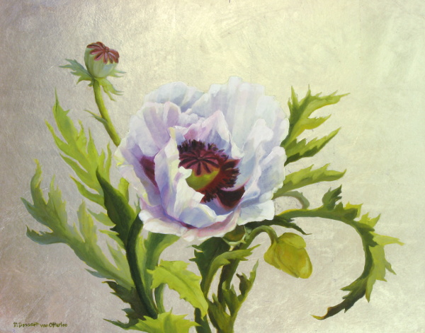 White Poppy