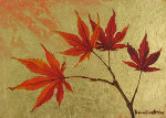 Windy Japanese Maple Branch