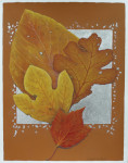 Autumn Leaves: Sassafras, Oak, and Maple