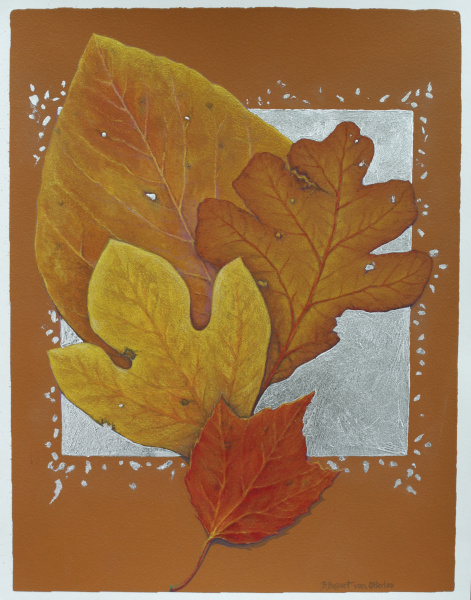Autumn Leaves: Sassafras, Oak, and Maple