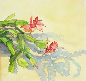 Christmas Cactus