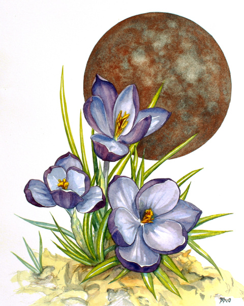 Crocus Moon