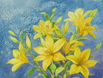 Star Gazers