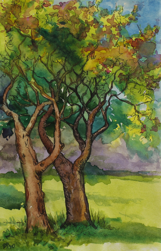 Study of Trees