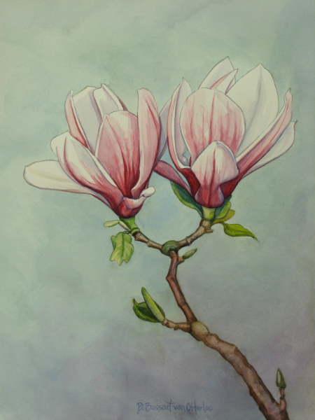 Study for Magnolia Couple