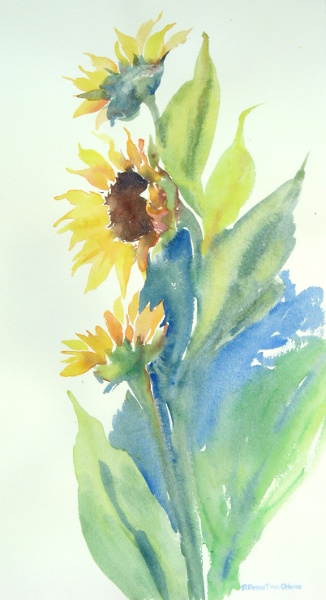 Sunflower Study