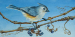 Tufted Titmouse on Wild Grape Vines