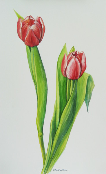 Bridget Bossart van Otterloo | Watercolor Paintings | Tulip Couple